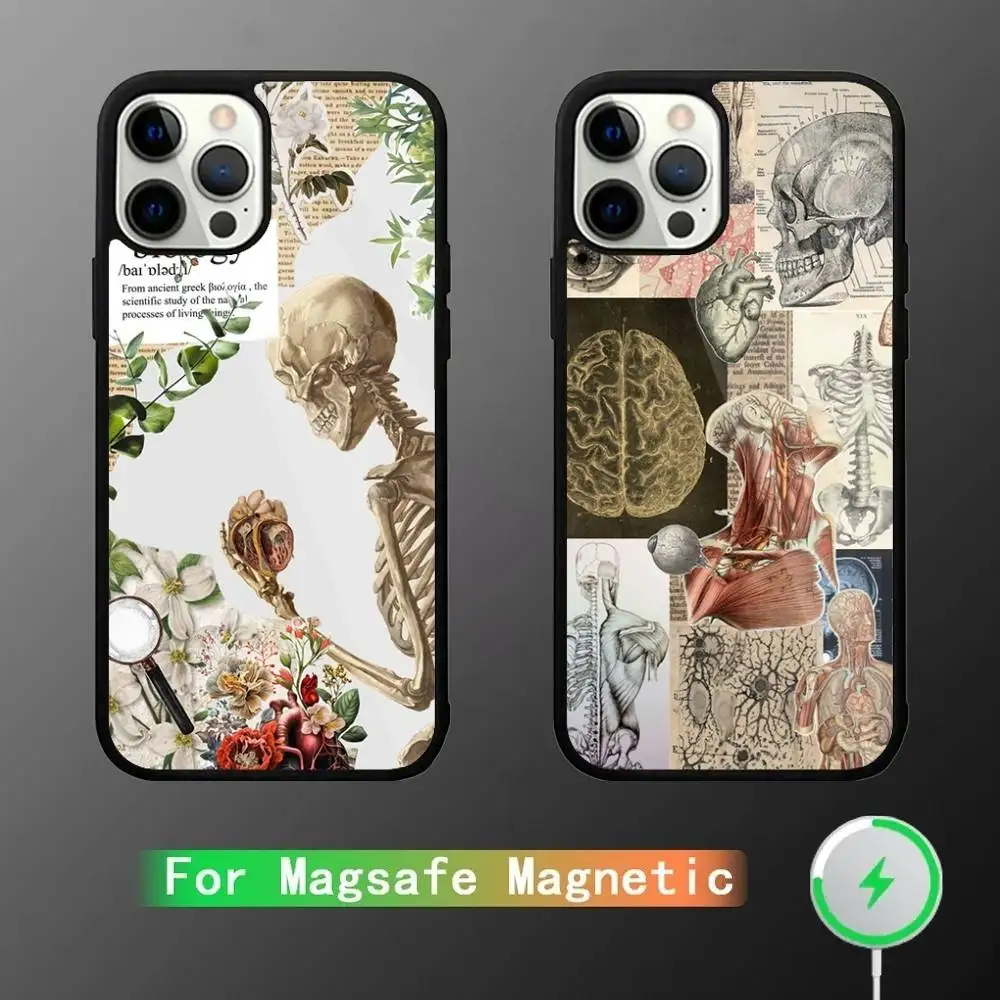 

Human Anatomy Medical Phone Case For iPhone 17,16,15,14,13,12,11,Pro,Max,Plus,Mini,SE4,E Magnetic Magsafe Wireless Charging