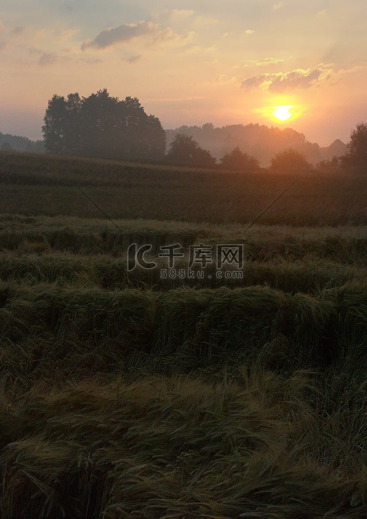 

Инструмент для ремонта радиоуправляемых моделей автомобилей: полая металлическая шестигранная отвертка 1.5/2.0/2.5/3.0 мм