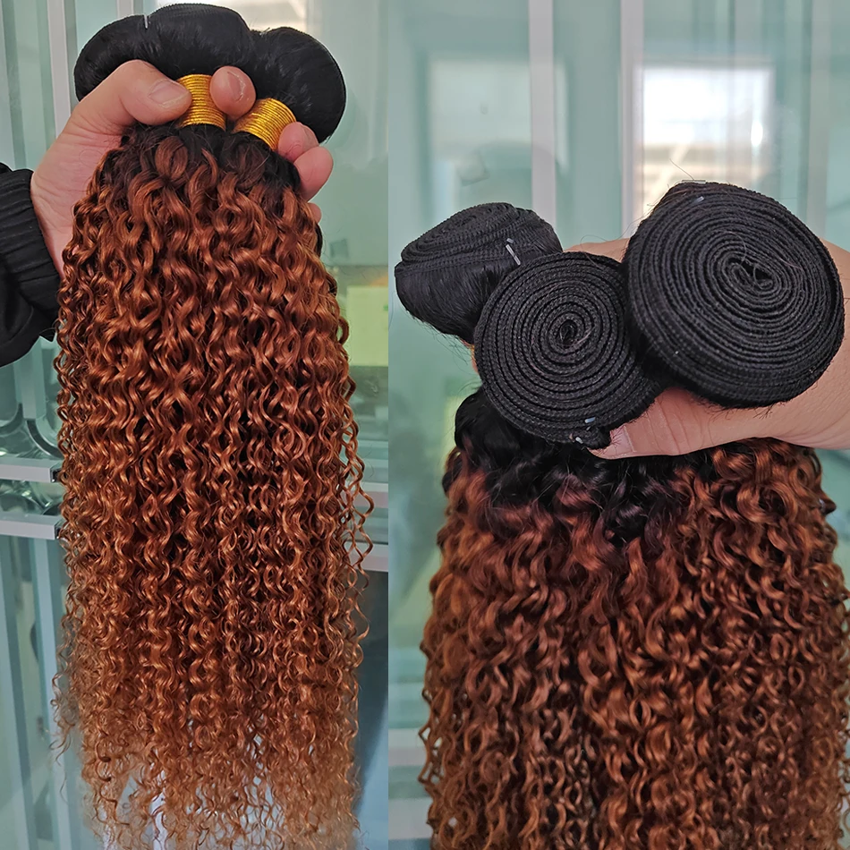 10A Malaysia Hair Wet And Wavy Hair Bundles Dark Root Ombre Water Wave 1/3 Bundles Jerry Curly 100% Human Virgin Hair Extensions