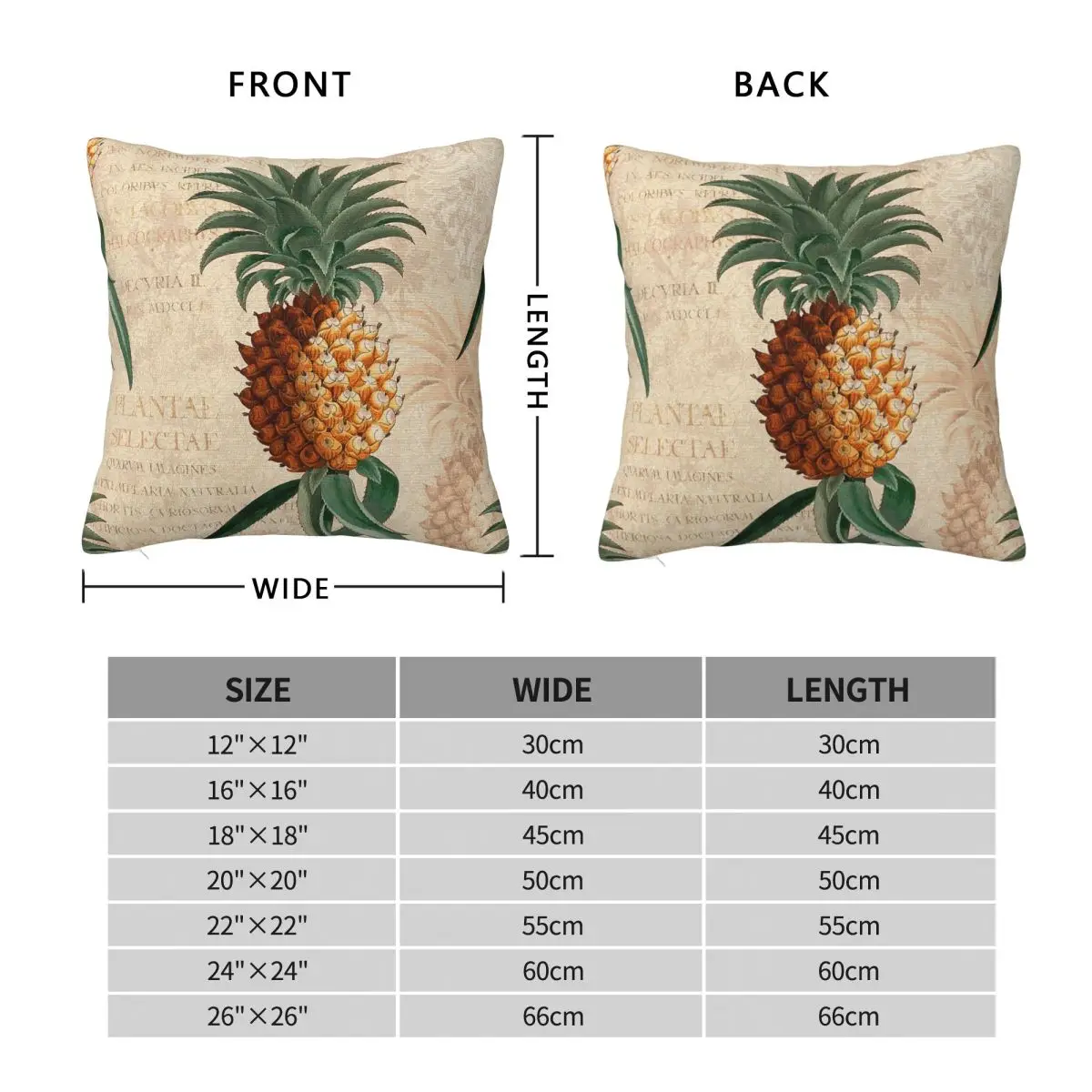 Georg Dionysius Ehret Pineapple Square Pillowcase Polyester Linen Velvet Pattern Zip Decorative Home Cushion Cover