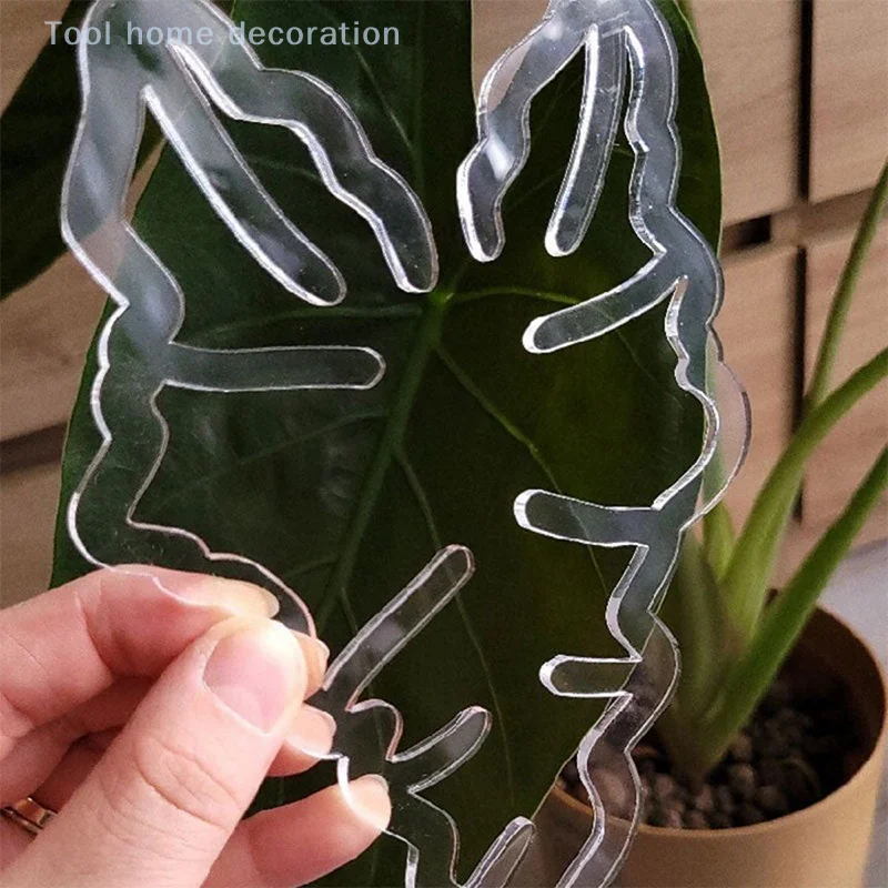 High-Quality Transparent Monstera Plant Stem Support; Durable Potted Plant Holder