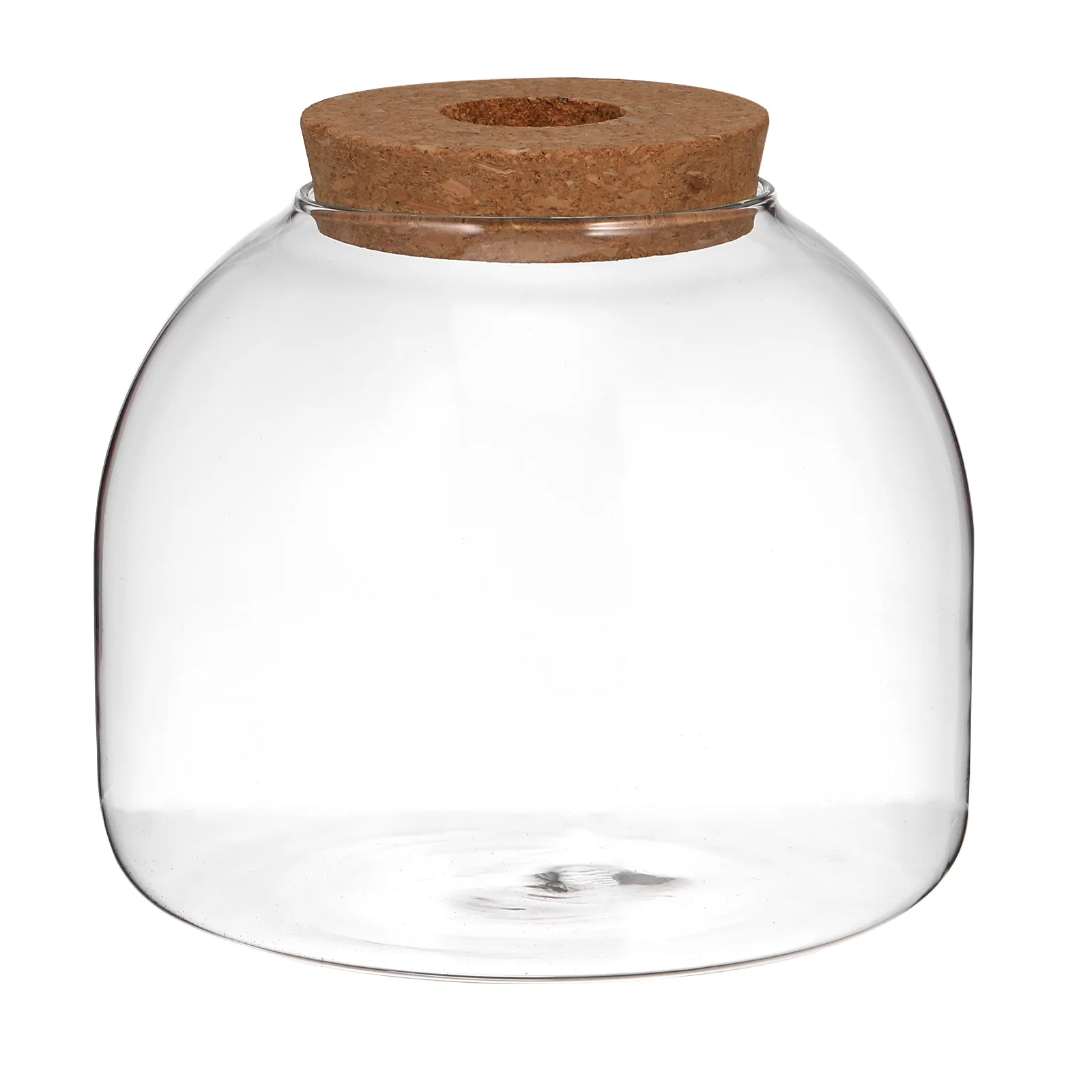 

Glass Terrarium Jar Wood Stopper Small Micro Landscape Container Plant Terrarium Decorative Vase for Home Office