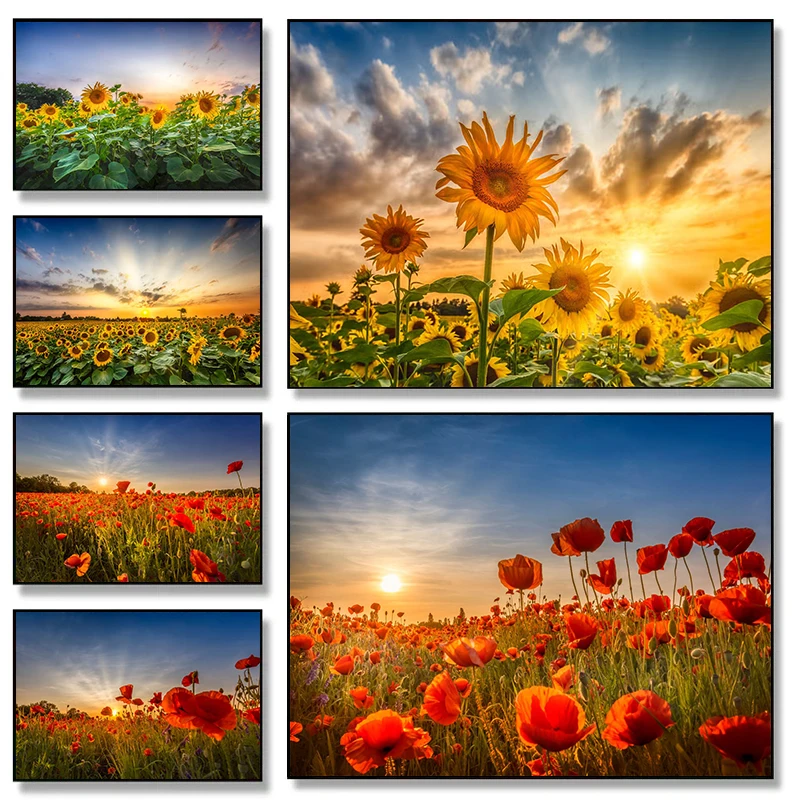 Vintage Sunflower Field At Sunset Sunshine Landscape Art Posters Canvas Painting Wall Prints Pictures for Living Room Home De
