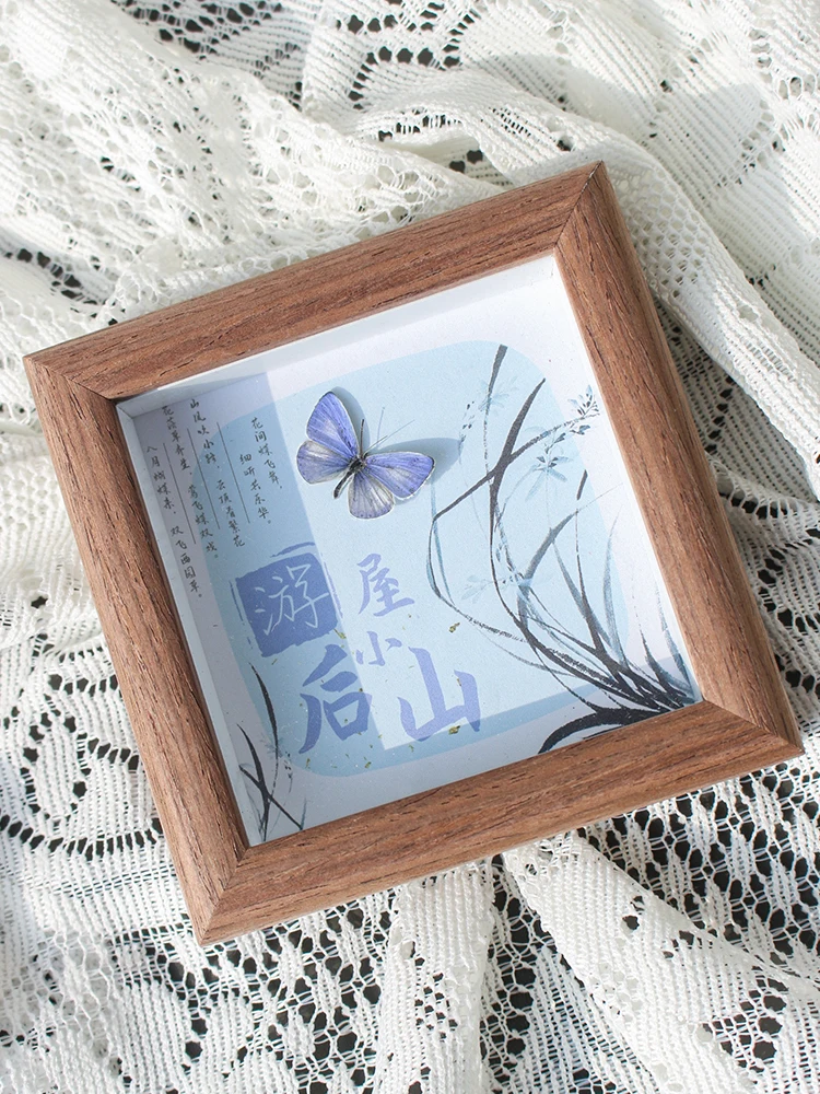 Little gray Butterfly  blue butterfly ornament decorative painting real butterfly blue rare domestic pocket gift