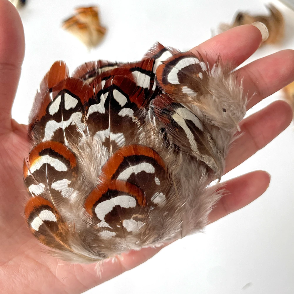 Vero fagiano piume di pavone piccole oche di pollo piuma materiali per la costruzione di mosche gioielli artigianali che fanno accessori decorazione