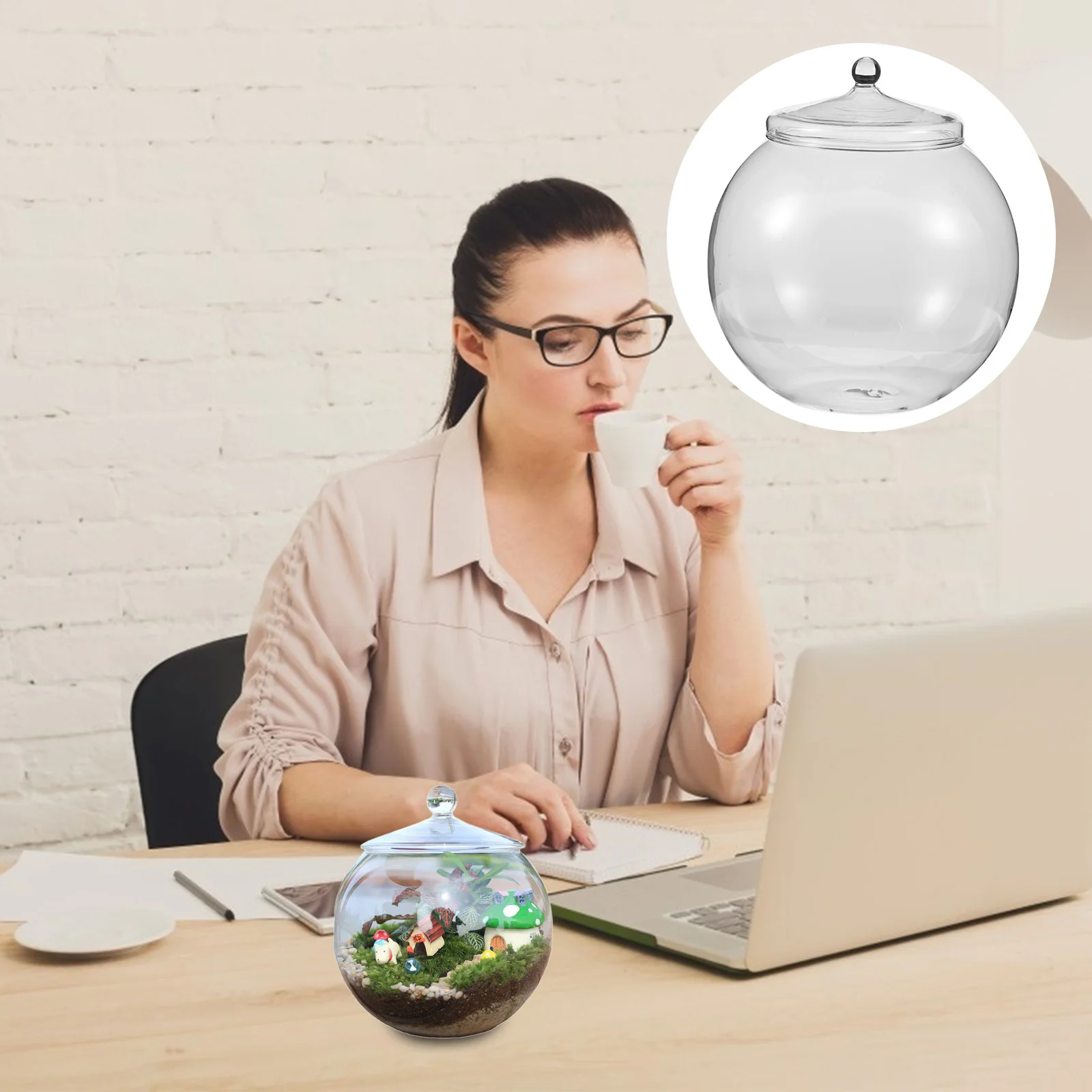 1 Piece Glass Terrarium for DIY Micro Landscape Bottle Decorative Moss Ecological Container Transparent Plant Terrarium Desktop