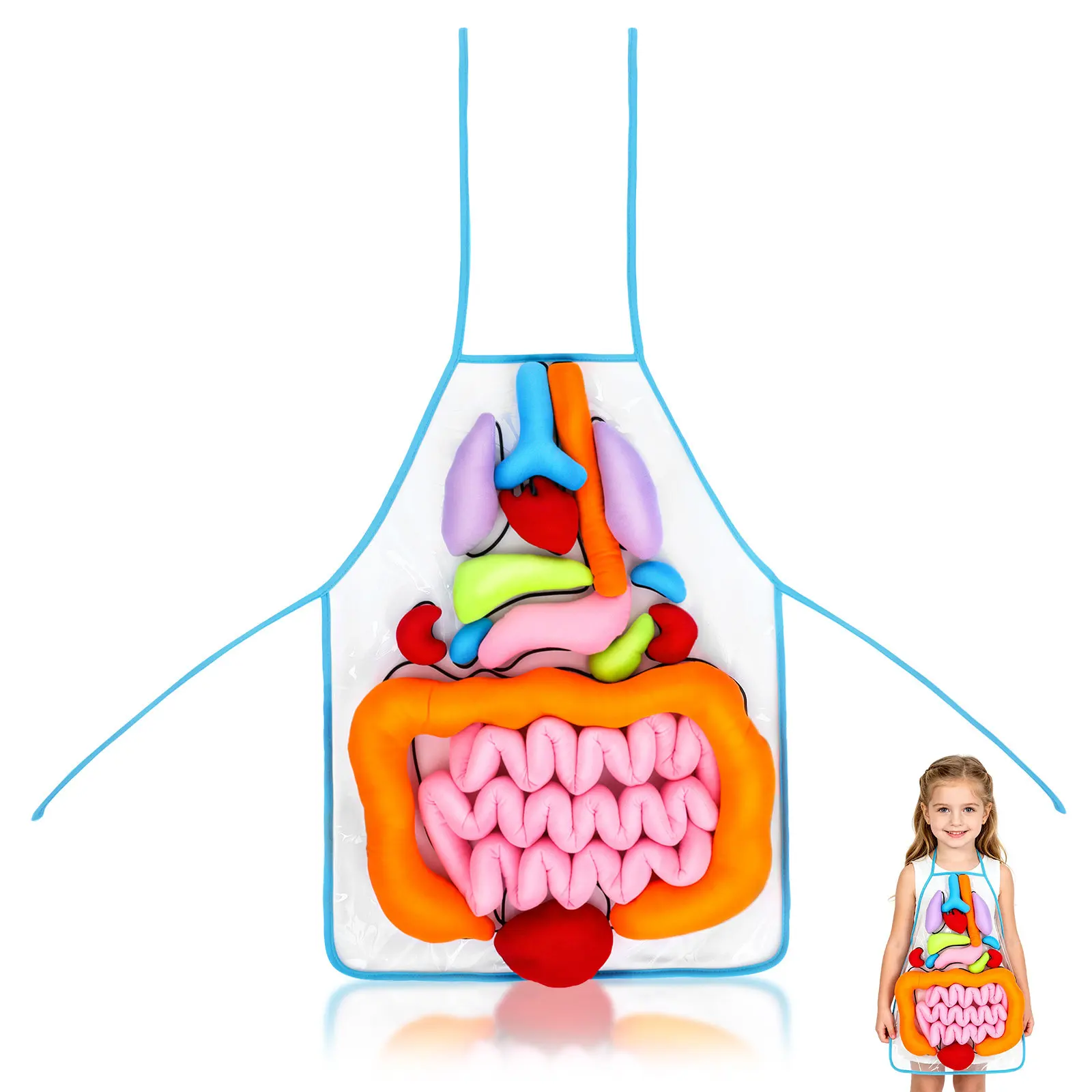 1Set Body Organ Costume Human Body Model For Kids For Preschool Educational 3D Organs Apron Premium Teaching Aid