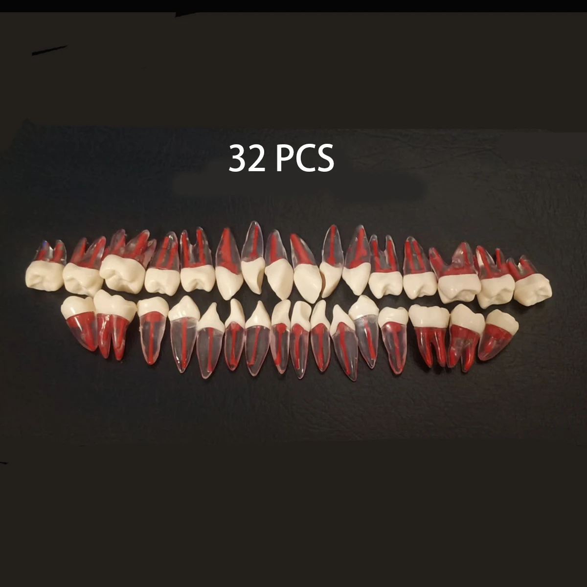 Dental Root canal tooth model Technician Practice Training exam simulation resin implant tooth preparation model endodontics