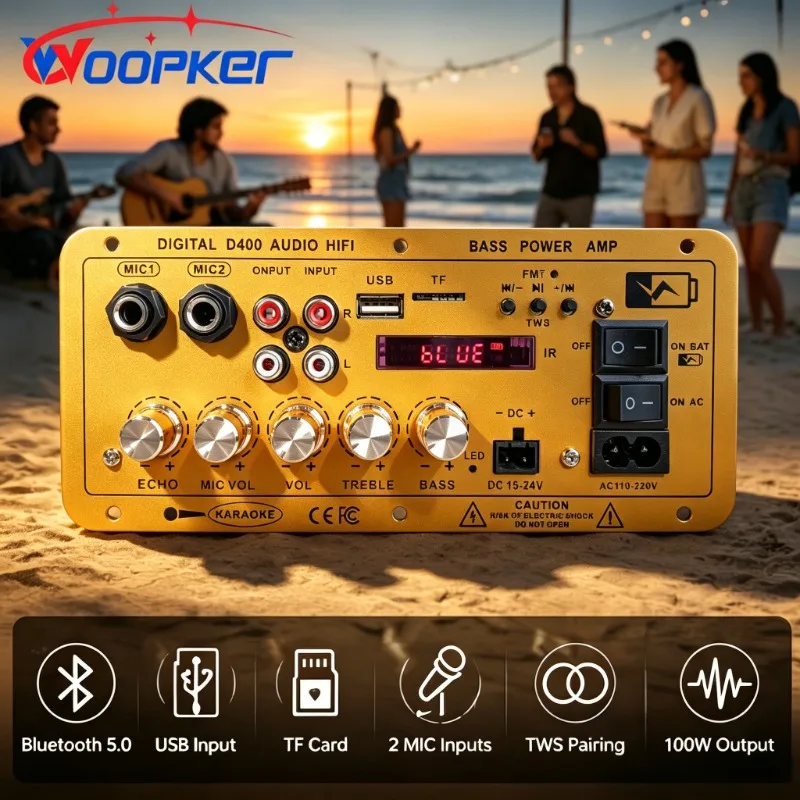 Усилительная плата Woopker D400 с Bluetooth 5.0 для караоке, двойным микрофоном, эхом, регулировкой высоких и низких частот, 12В литиевая батарея для сабвуфера.
