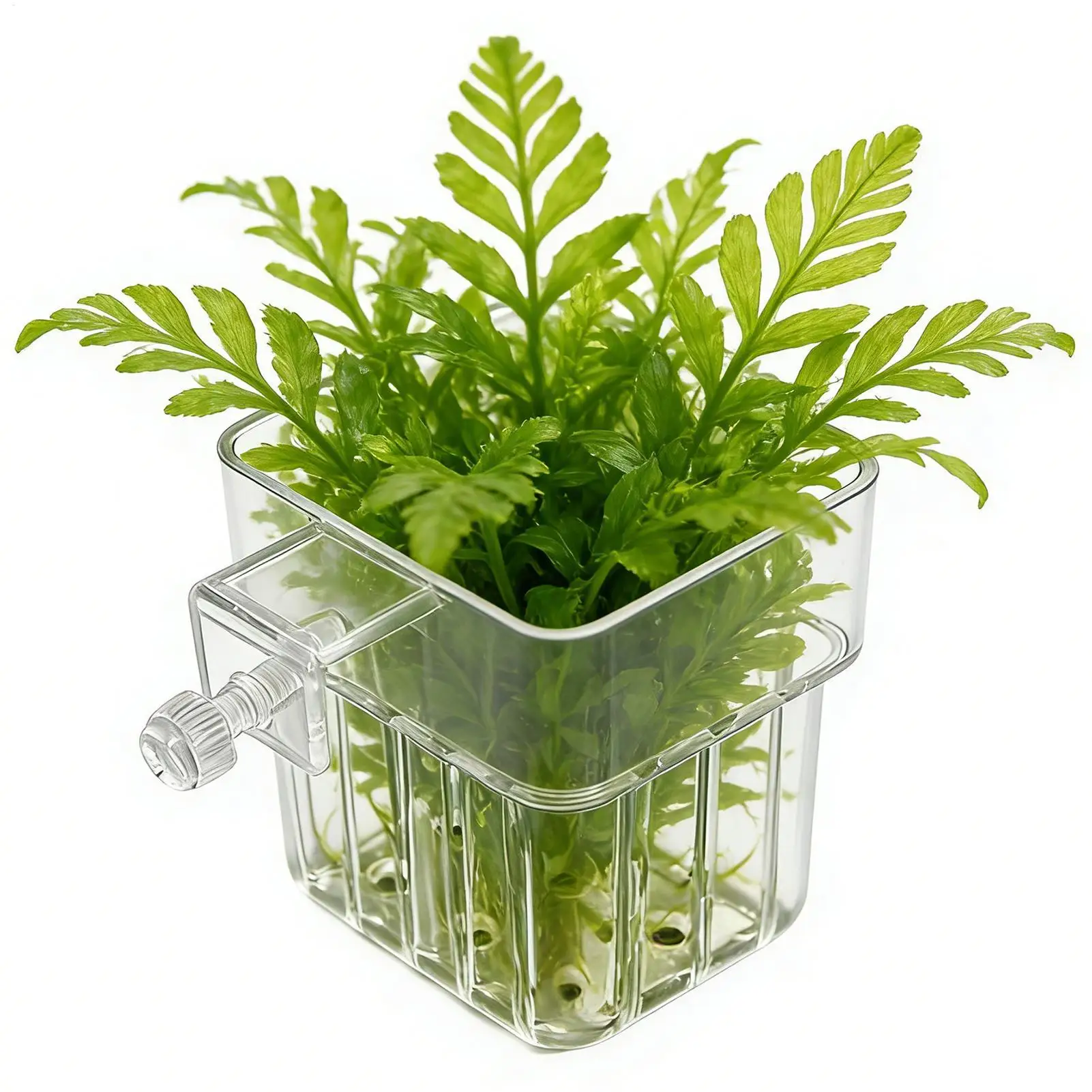 Soporte transparente para plantas de acuario, maceta decorativa para acuario, soporte para plantas acuáticas estilo perilla, taza paisajística, maceta para pecera