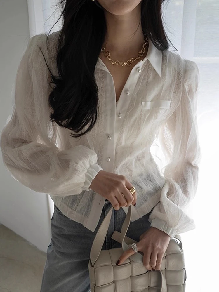 

Ele Bubble Sve irt Women's Early Autumn New Sle Versatile Transparent Lace Design Casual Office Wear Long Sve