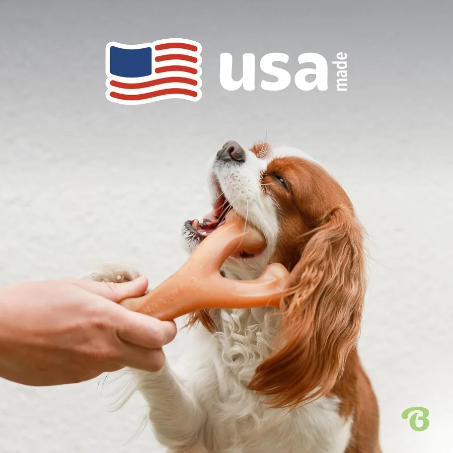 アメリカ製ウィッシュボーン丈夫な犬用噛むおもちゃ（噛む力の強い犬用）小型、本物のベーコン風味