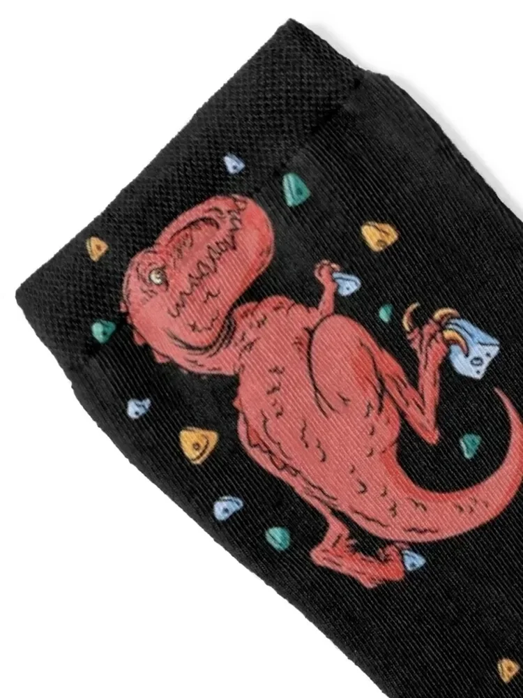 Dinosaur bouldering Socks christmas stocking bright garter retro Luxury Woman Socks Men's