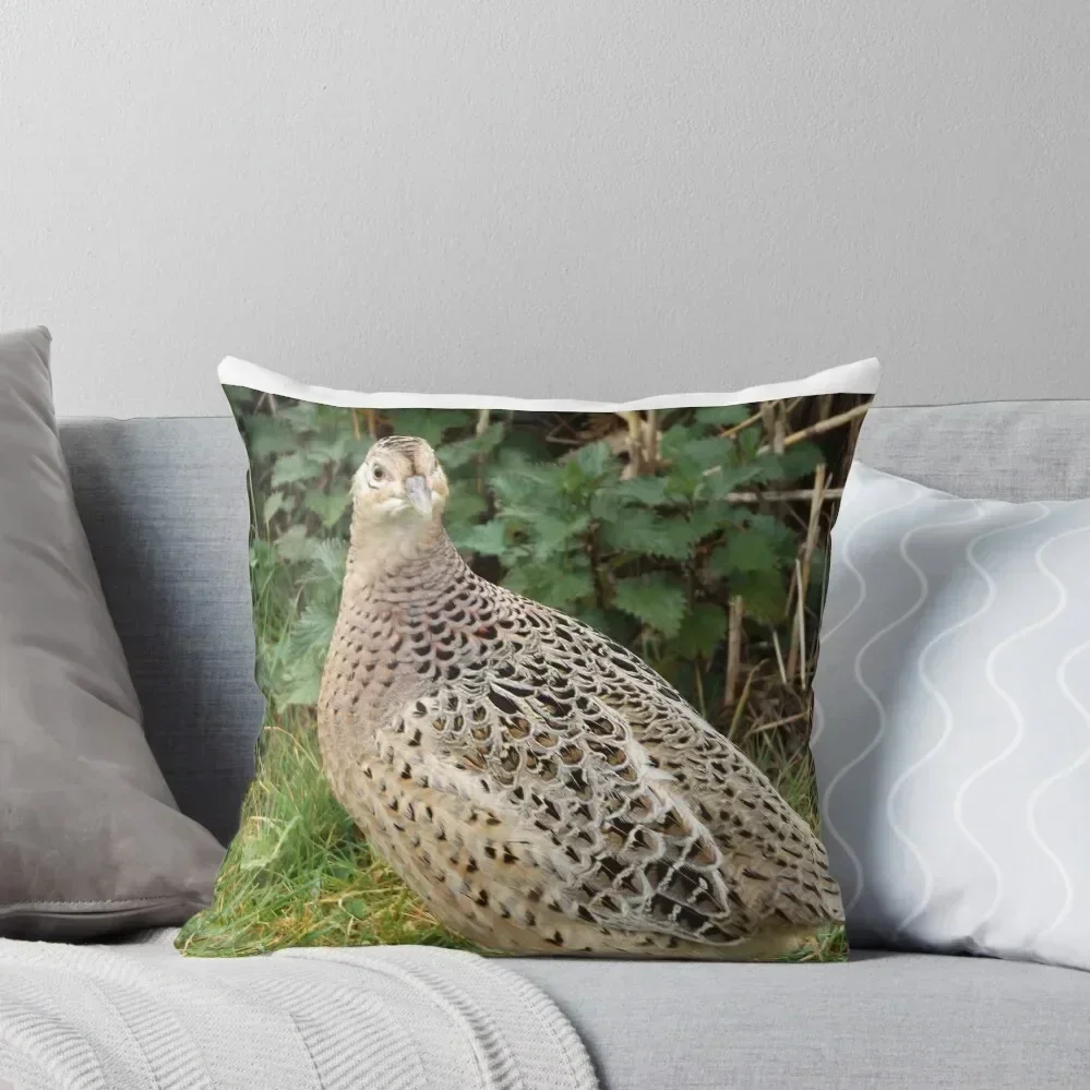 

A female Pheasant Throw Pillow sleeping pillows Anime Sofa Cushion Cover luxury home accessories pillow