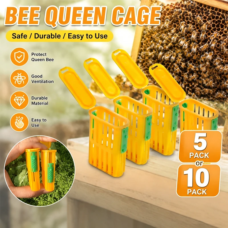 5/10Pcs Queen Bee Rearing Cage Plastics Bee Transport Grid Box Breeding Beekeeper Supplies Bee Queens Shipping Box Insect Cup