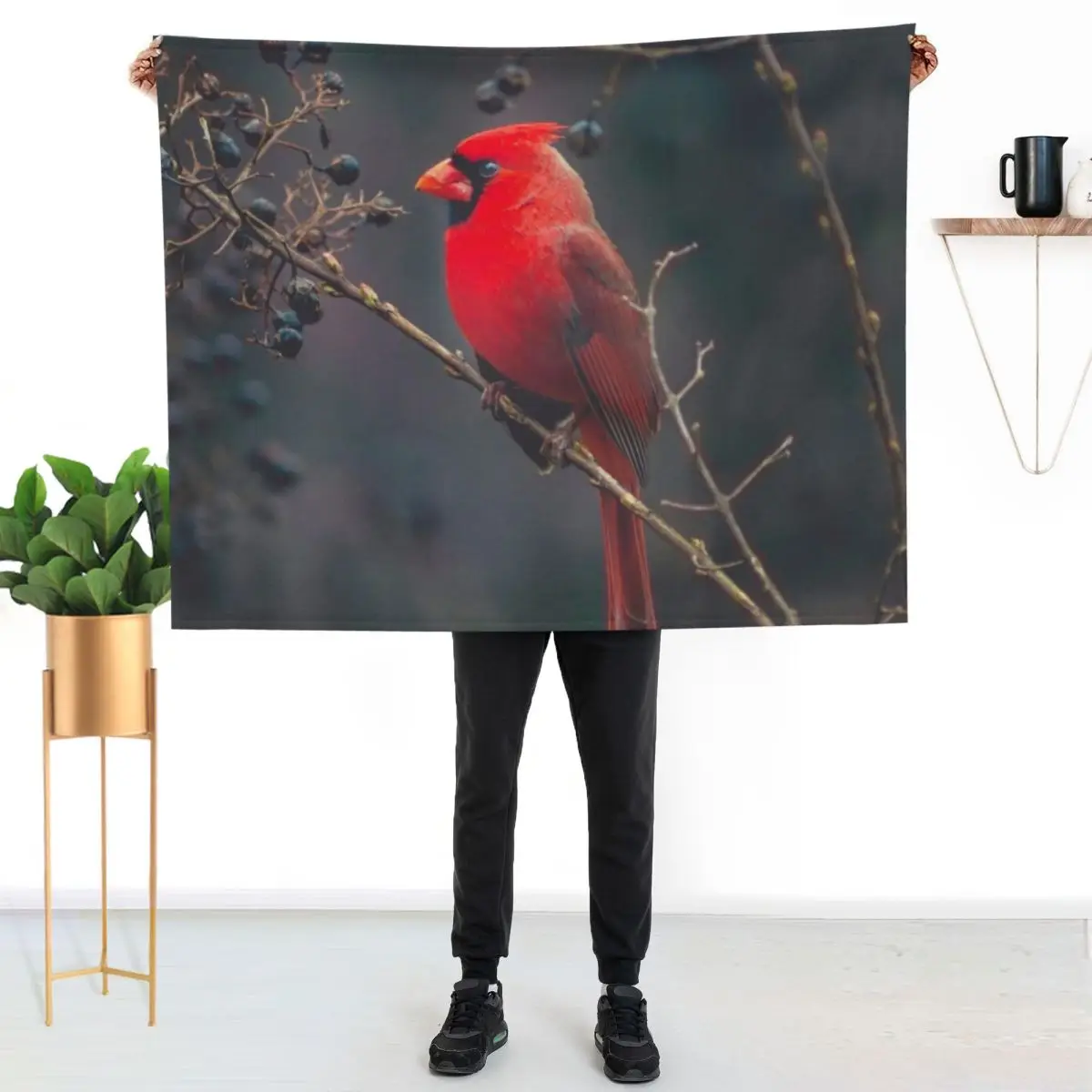 Cardinal On A Branch Throw Blanket For Decorative Sofa Travel Furrys Polar Hairy Luxury Throw Blankets