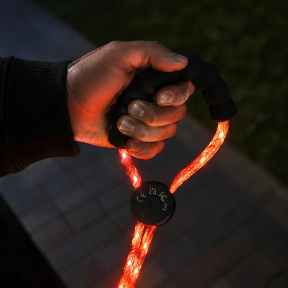 USB Charging LED Dog Leash Spiral Braided Nylon Super Bright LED Luminous Pet Leash Multiple Light Modes Sturdy Wear Resistant