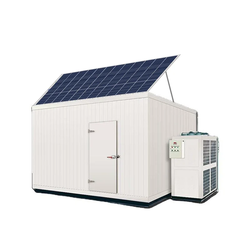 Cold Store Refrigerator 20ft Solar Power Container Cold Freezer Room