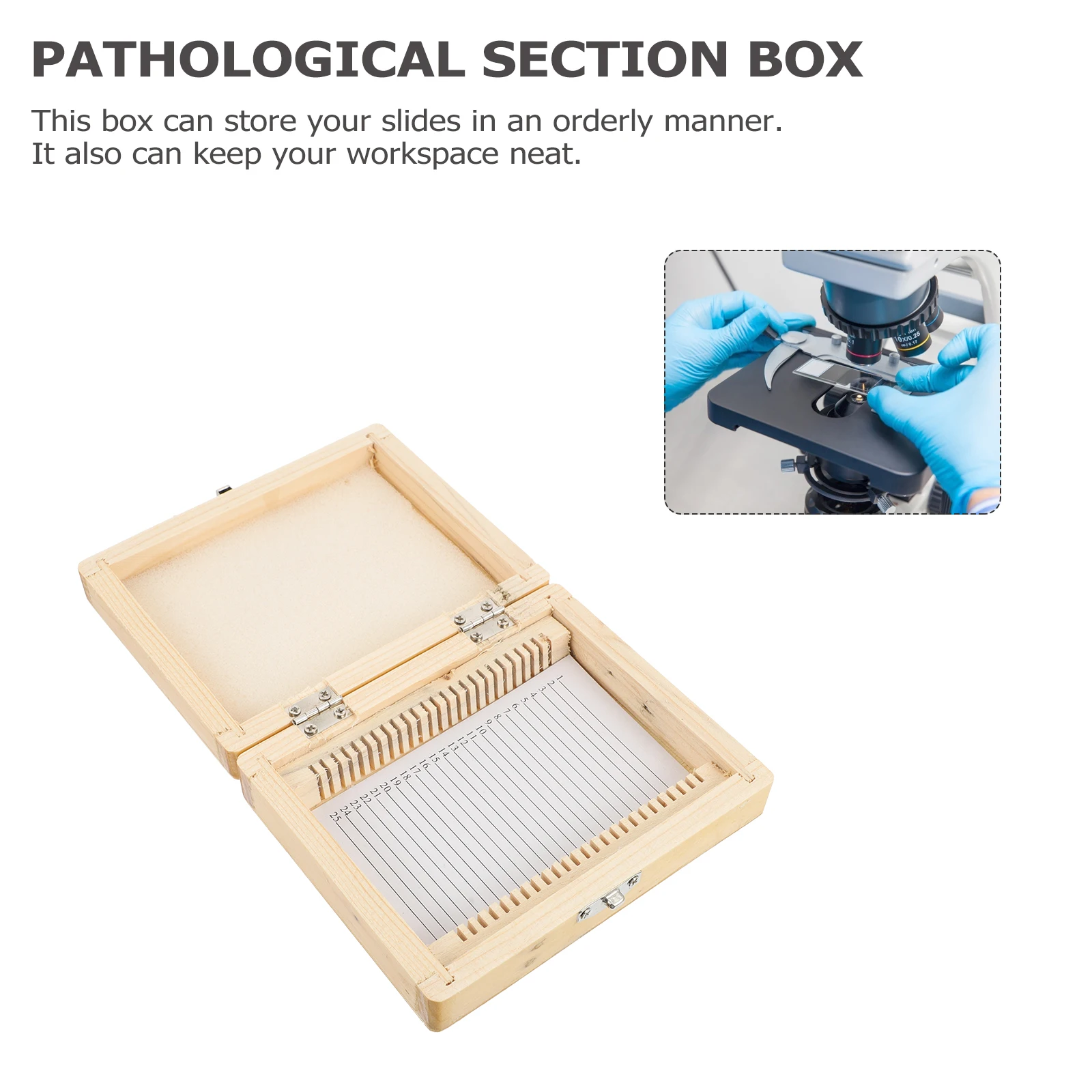 

Wooden Microscope Slide Storage Box 50 Slots Numbered Dividers For Specimens Collection Lab Teaching Equipment Slide