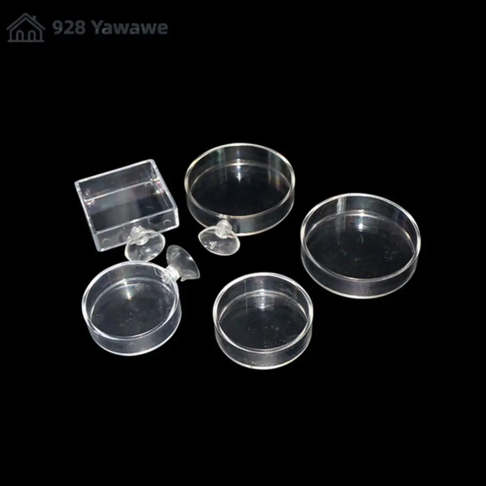 Circle Feeder Fish Shrimp Acrylic High Transparent Fish Tank Shrimp Food Feeding With Suction Cup Aquarium