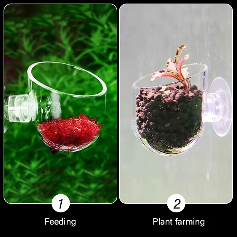 Aquarium Decoration Plant Cup Pot Acrylic Waterweed Cup with Suction Holder Gardening Vase Red Worm Feeder For Fish Tank 1Pcs