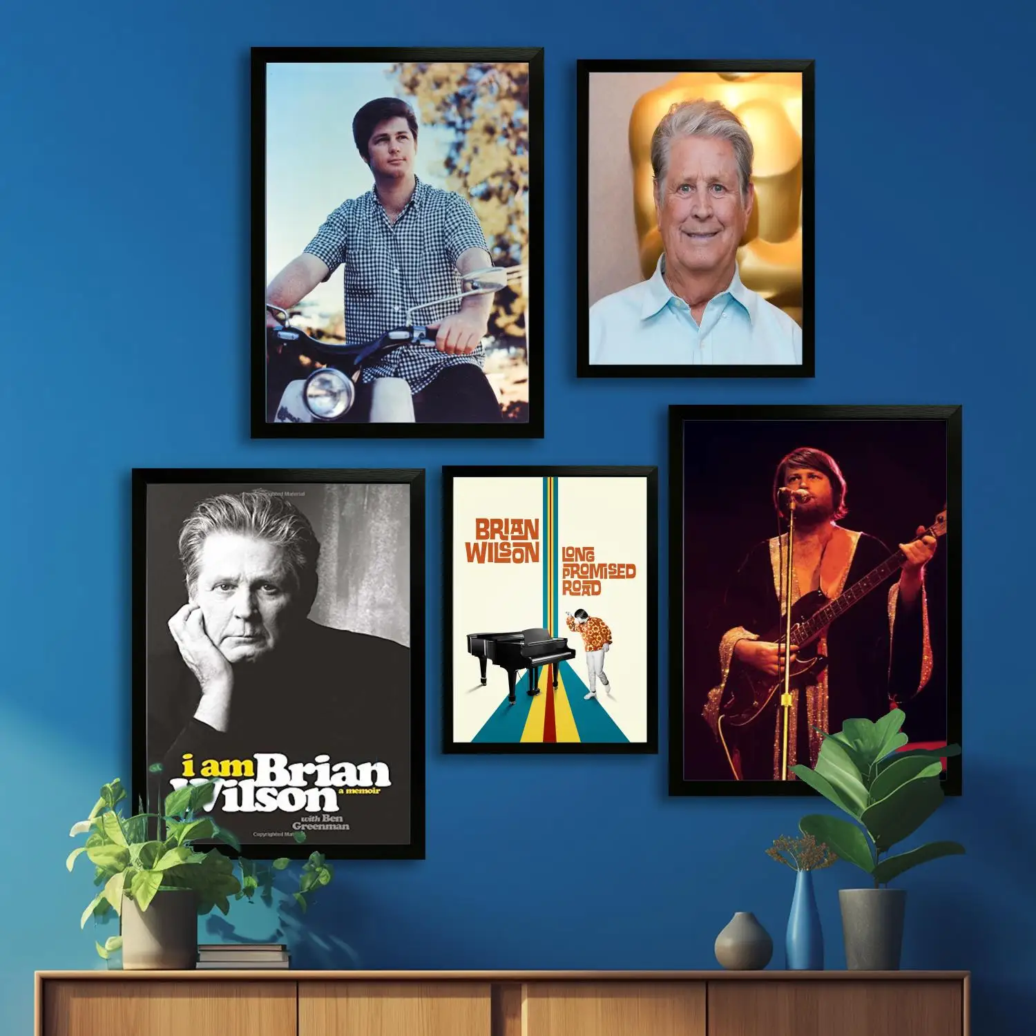 Brian Wilson Canvas Art Poster and Wall Art, Picture Print, Modern Family Bedroom Decor, Posters,Decorative painting