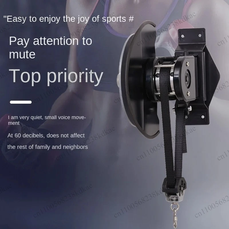 Wall Mount Eccentric Flywheel Trainer Height Adjustable Variable Resistance Centrifugal Pulley Fitness Equipment