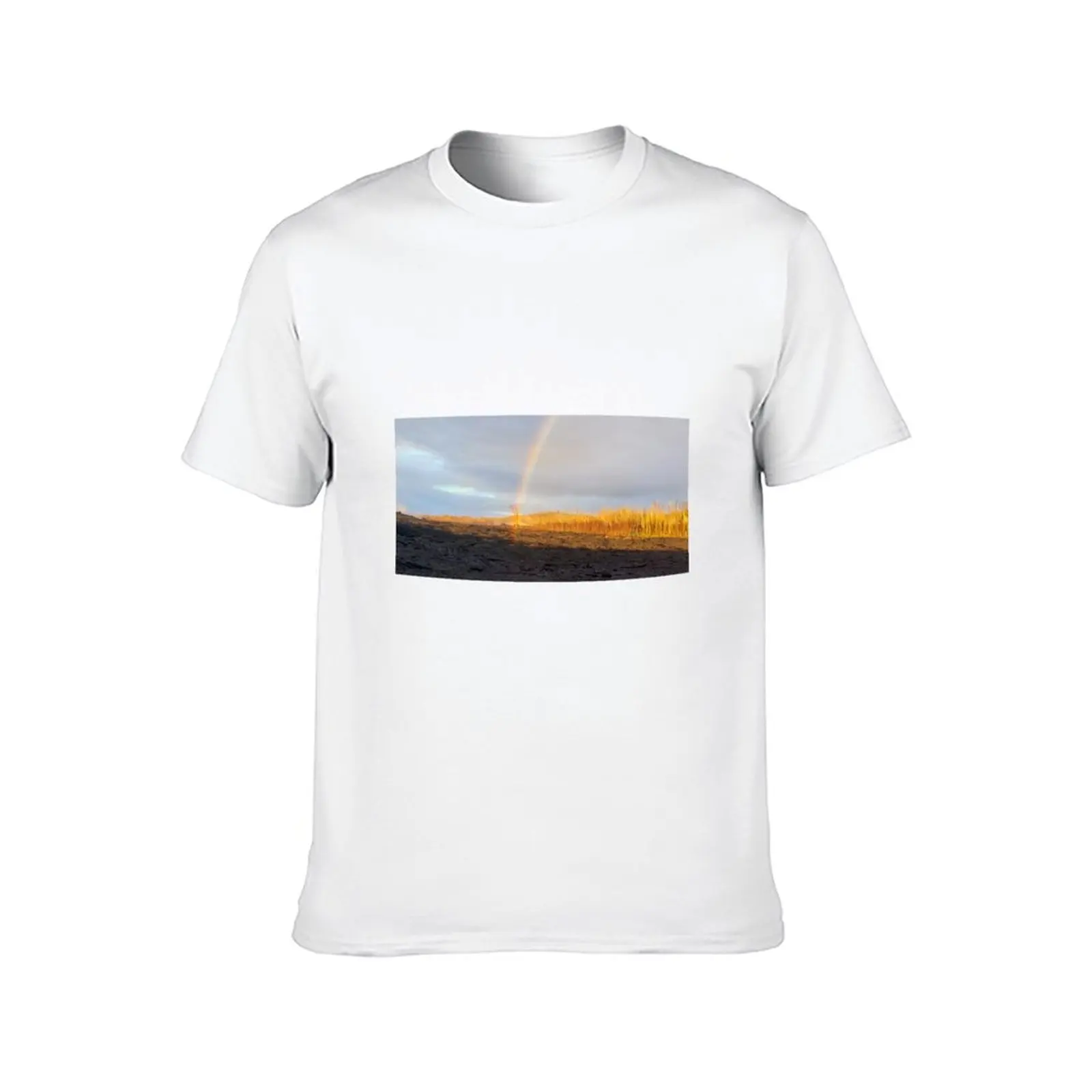 AHT شجرة قوس قزح على الحمم البركانية تي شيرت رجل فاخر تي شيرت الرجال 100% القطن الفاخرة العلامة التجارية تي شيرت