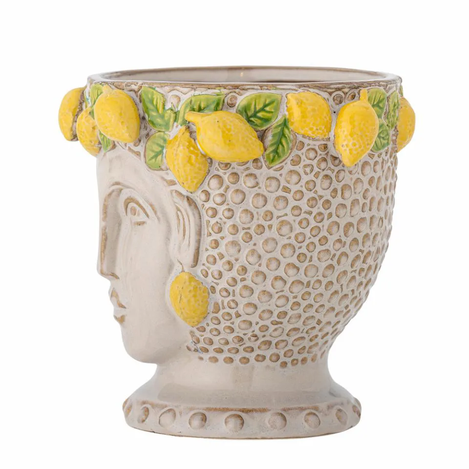 Fresh lemon leaves charming rich woman face