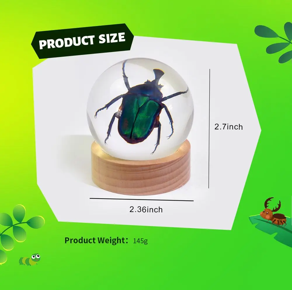 Resin Ball with Real Spider, Eerie Yet Cool Desk & Car Decor, Decorative Figurines for Home Tabletop Decor，Unusual Gift