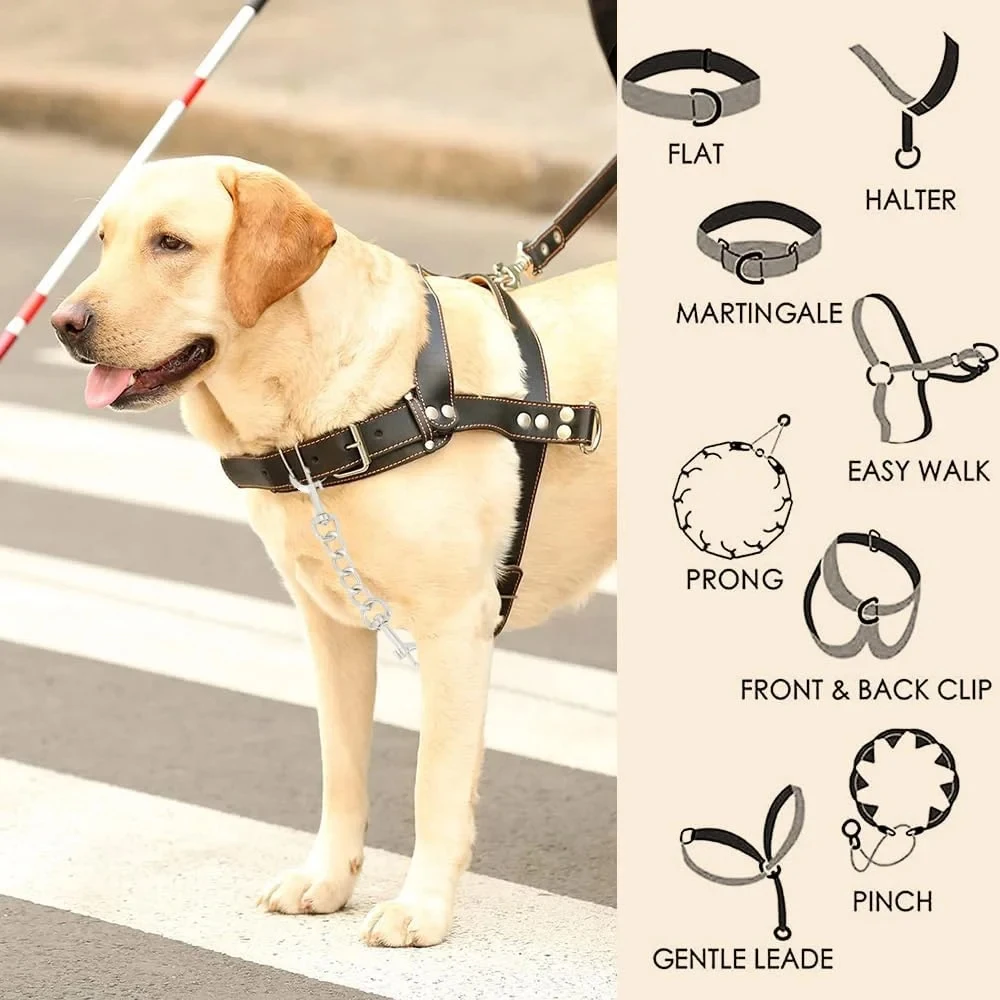 Adaptador doble antiescape para collar y correa de perro - imagen 4