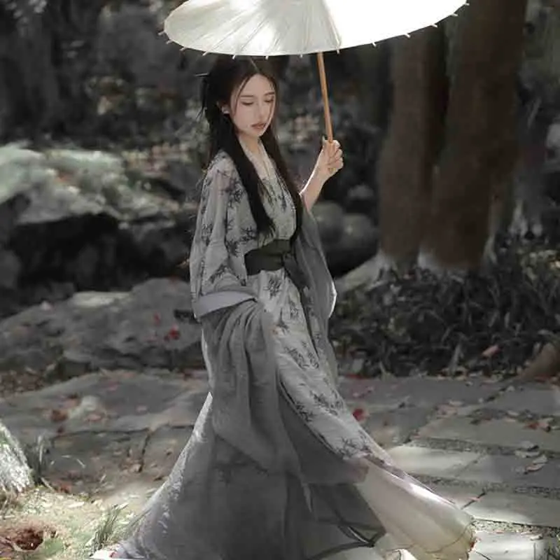 2025 جديد الصينية Hanfu فستان المرأة القديمة التقليدية Hanfu مجموعات كرنفال الجنية تأثيري حلي رمادي الطباعة Hanfu فستان رقص