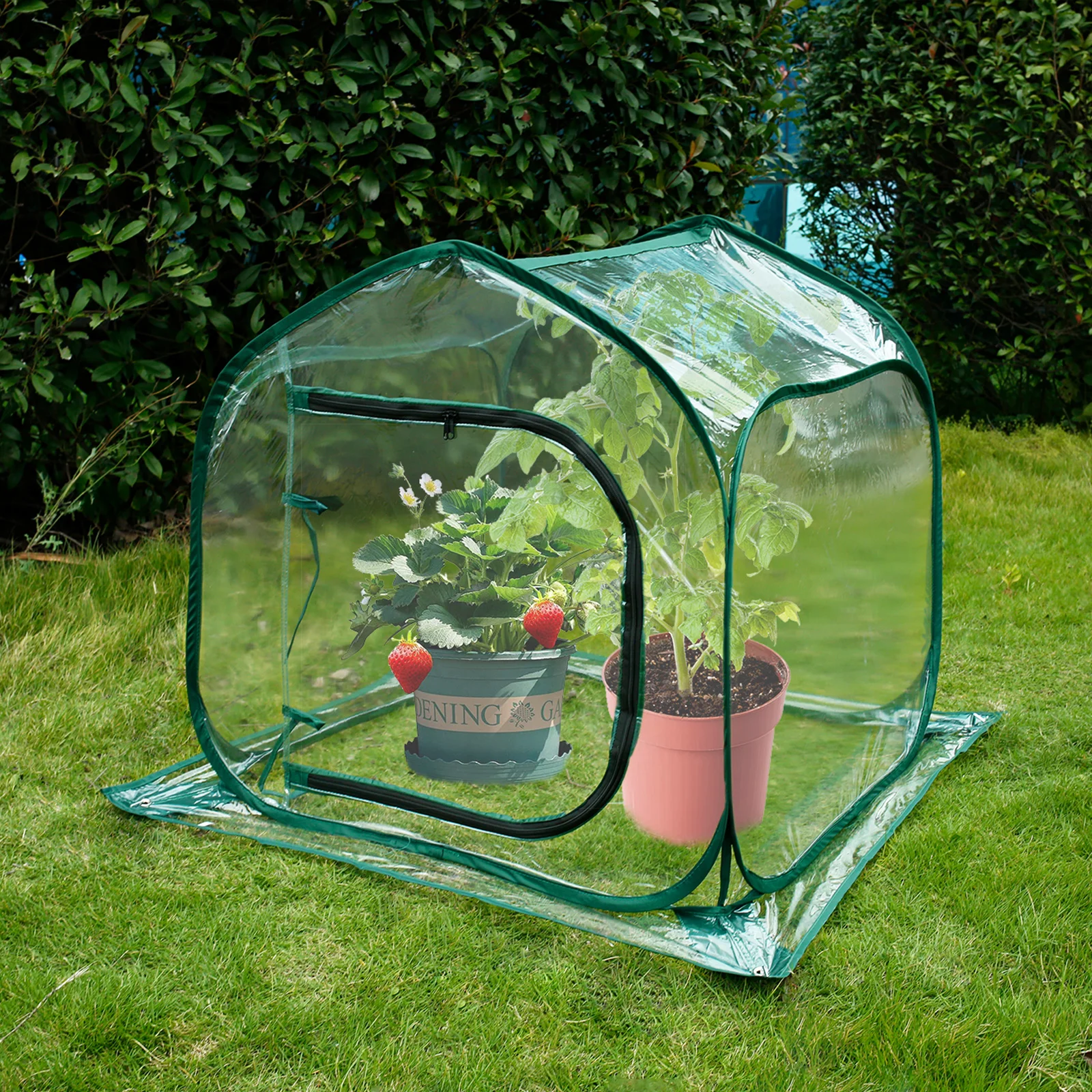 

Mini Greenhouse for Indoor Outdoor Transparent Foldable Plant Greenhouse Large Space Gardening Backyard Plant Flower Greenhouse