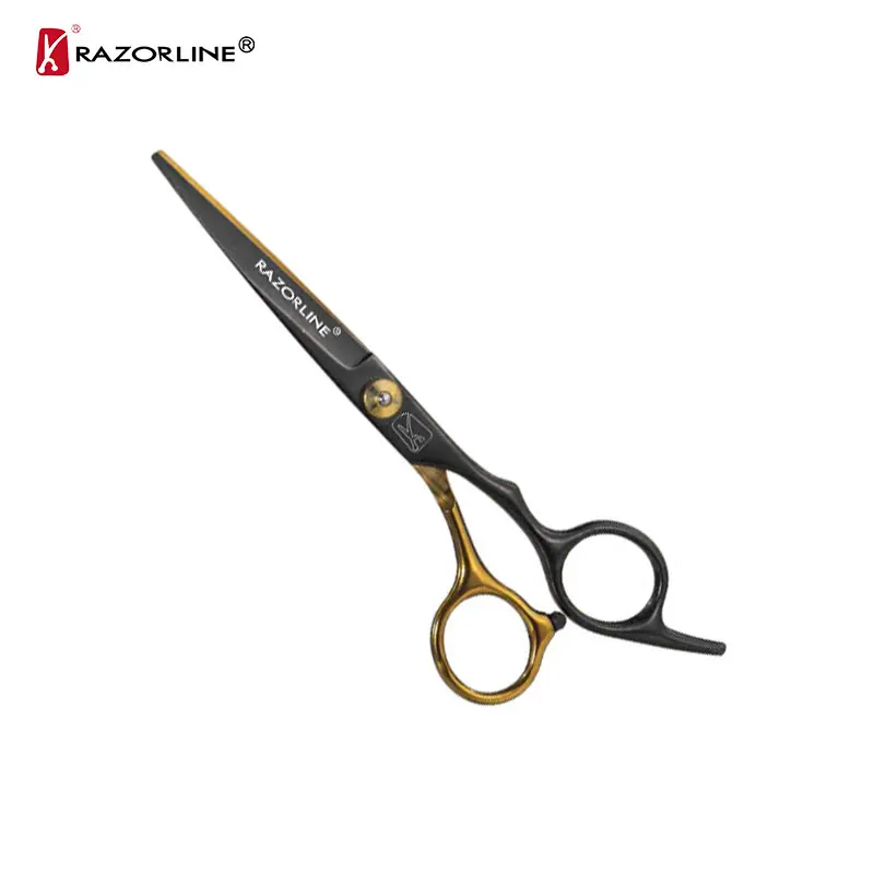 5.5 Inch Professional Barber Scissors Set Stainless Steel Anti-Static Hair Cutting Thinning Shears Salon Kit with Leather Bag