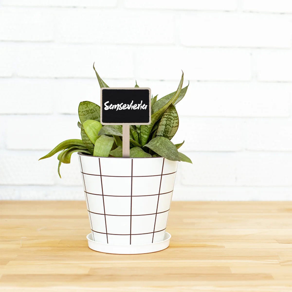 

10 pcs Mini Wooden Blackboard Tags for Plants Garden Marker Labels Durable Boxwood Craft Christmas Wedding Signs