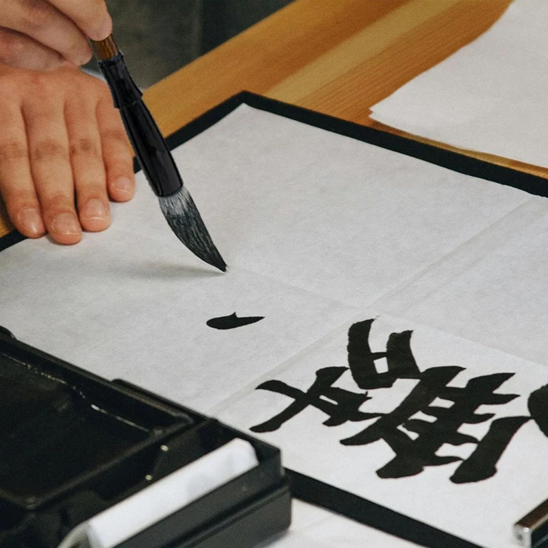 Pincéis de caligrafia para iniciantes, Pincéis de pintura e escrita, Ink Art, Pintura Kanji, 11pcs