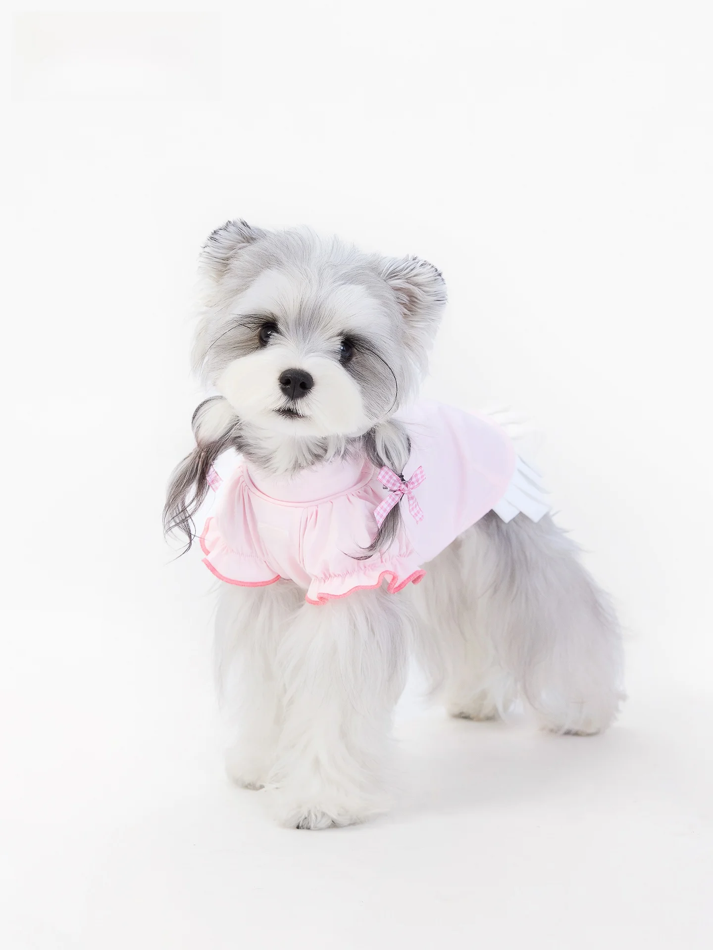 koki-princess-style-ice-silk-pet-skirt-high-elasticity-breathable-lace-trim-summer-sun-protection-dog-dress-for-schnauzers