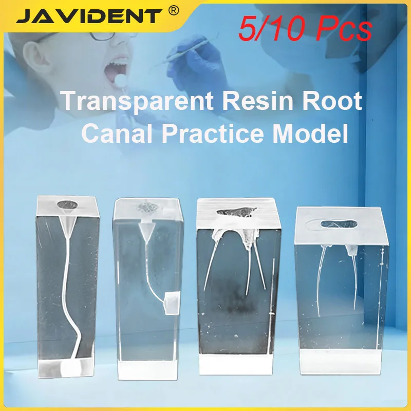 Dental Resin Root Canal Practice Module Transparent Pulp Root Canal Preparation Filling and Restoration Model Dental Consumables