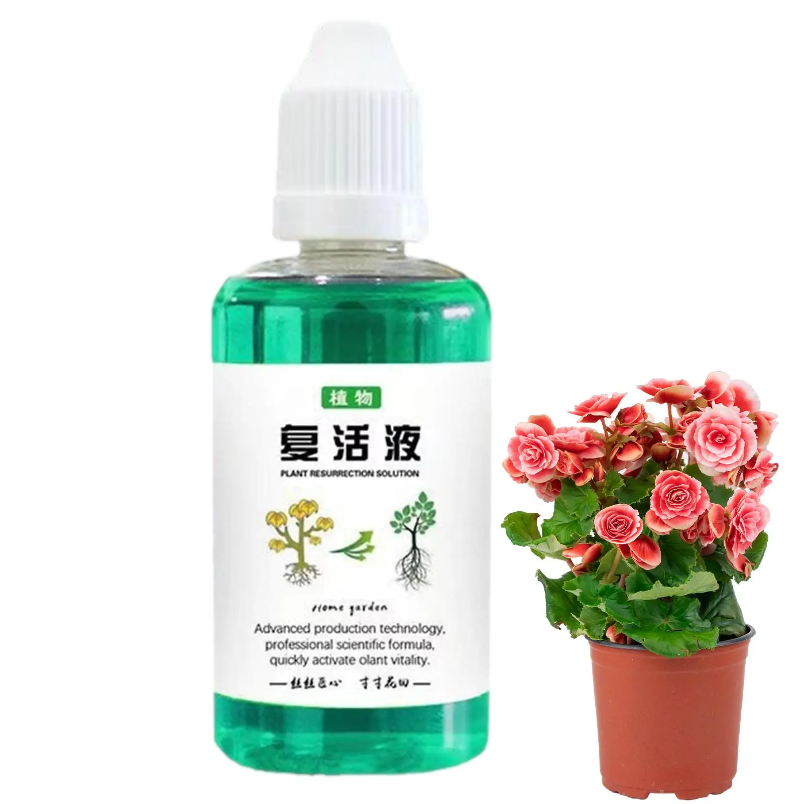 Root Stimulator For Plants 50ml Plant Growth Enhancer Succulents Root Booster Indoor Plant Fertilizer Plant Nutrient Solution