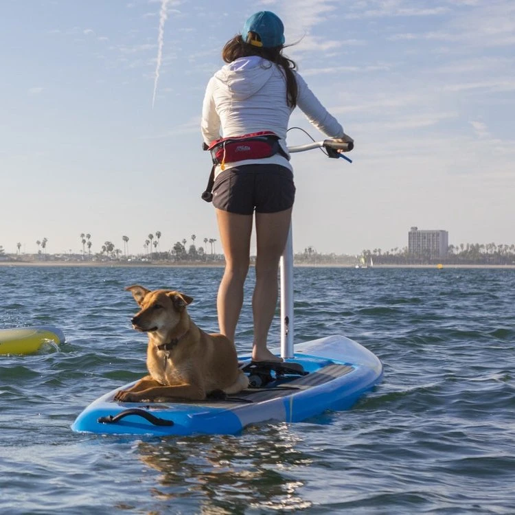 Pédale de vélo aquatique pour sports de plein air, planche de surf, jeu d'eau