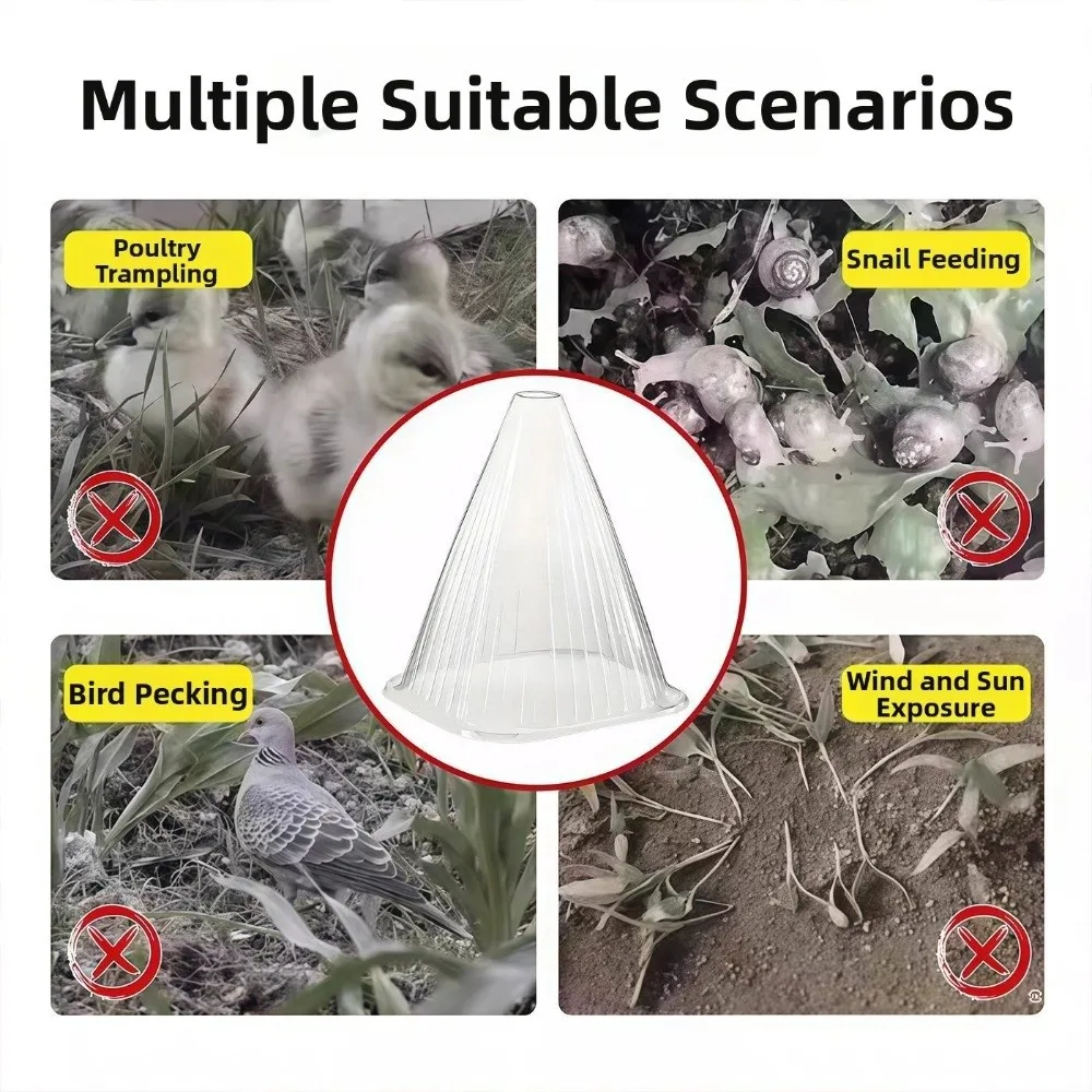 50pcs Transparent Plant Seedling Cloche Plastic Insulated Plant Protection Cover Bird Proof Antifreeze Growth Box