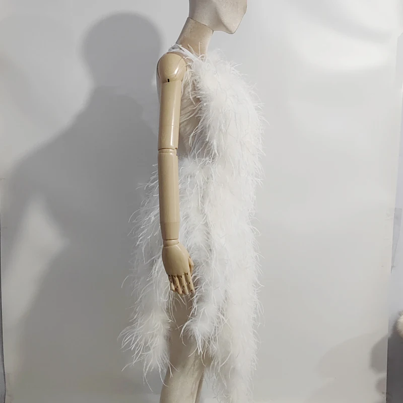 Neuestes Design eines Kleides aus 100% natürlichen Straußenfedern, mehrfach geschwungenes Design, durchsichtiges rückenfreies Kleid, sexy Damenkleid. – Detail 8