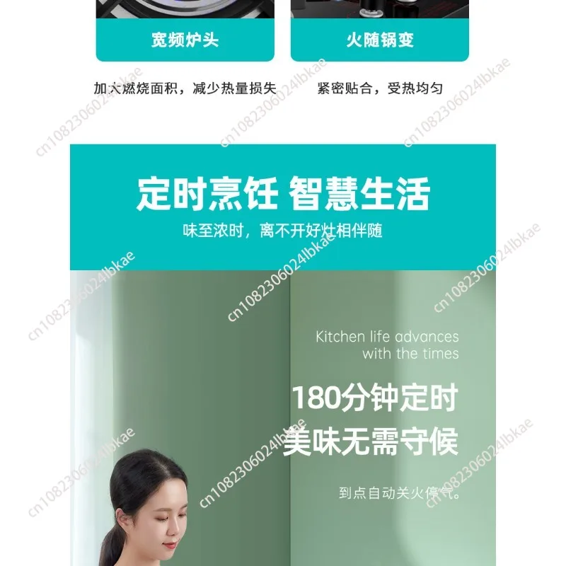 Household Built-in Double Stove Gas Stoves Table Kitchen Kitchens Cookers Countertops Cooker Home Recessed Top Cooktop Hob Panel