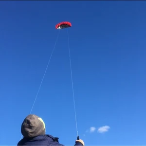 Kostenloser Versand 250 cm Dual Line Stunt Power Kites Fliege Spielzeug für Kinder Kite Surf Beach Kites Professionelle Wind Kites Factory Sports Sport 10 Hauptverkaufs -Surfspielzeug - №8