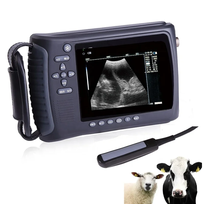 Handheld Vet Cattle Goat BW Ultrasound Scan Machine Portable Pig Pregnancy Cow Veterinary Ultrasound Machine Scanner for Sheep