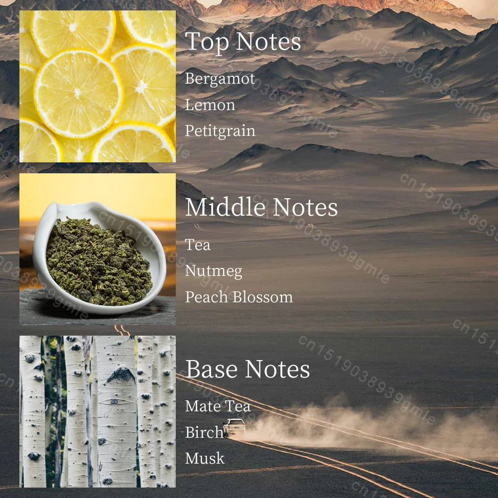 بخاخ عطر خشبي للشاي من العلامة التجارية، ثقة طبيعية أصلية، عطر للجنسين، حيوية بعد الظهر، فرمون ساحر يدوم طويلاً #6