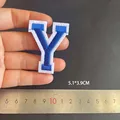 Y