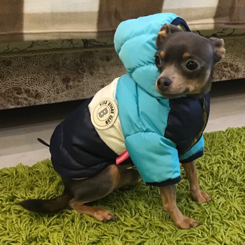 Wasserdichte Hundejacke Winter Haustier Daunen Baumwolle Weste Luxus Hundekleidung Chihuahua Französische Bulldogge Hundemantel Welpe Warmes Hundekostüm – Detail 18