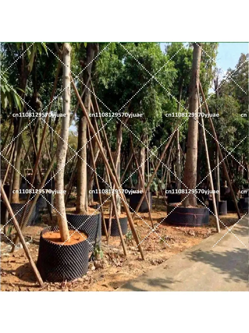 Root Control Nursery Pots for Bonsai Tree Transplant, Air-Pruning Plant Container, Fast Root Growth Training Pot