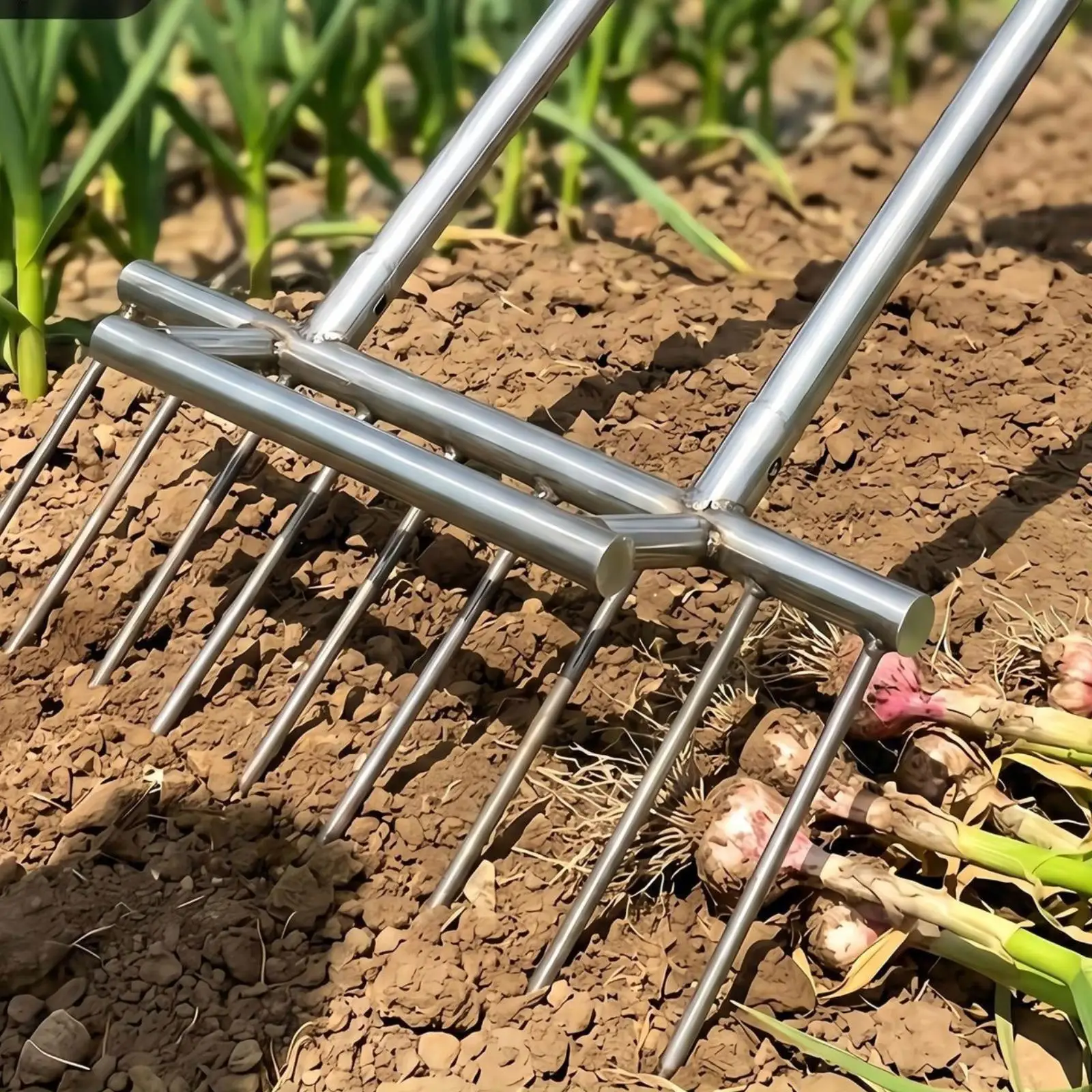 Garlic Digging Fork Heavy Duty with Tines Ergonomic Harvester Garlic Digger Pitchfork for Flower Beds Gardens Farm Lawn Backyard